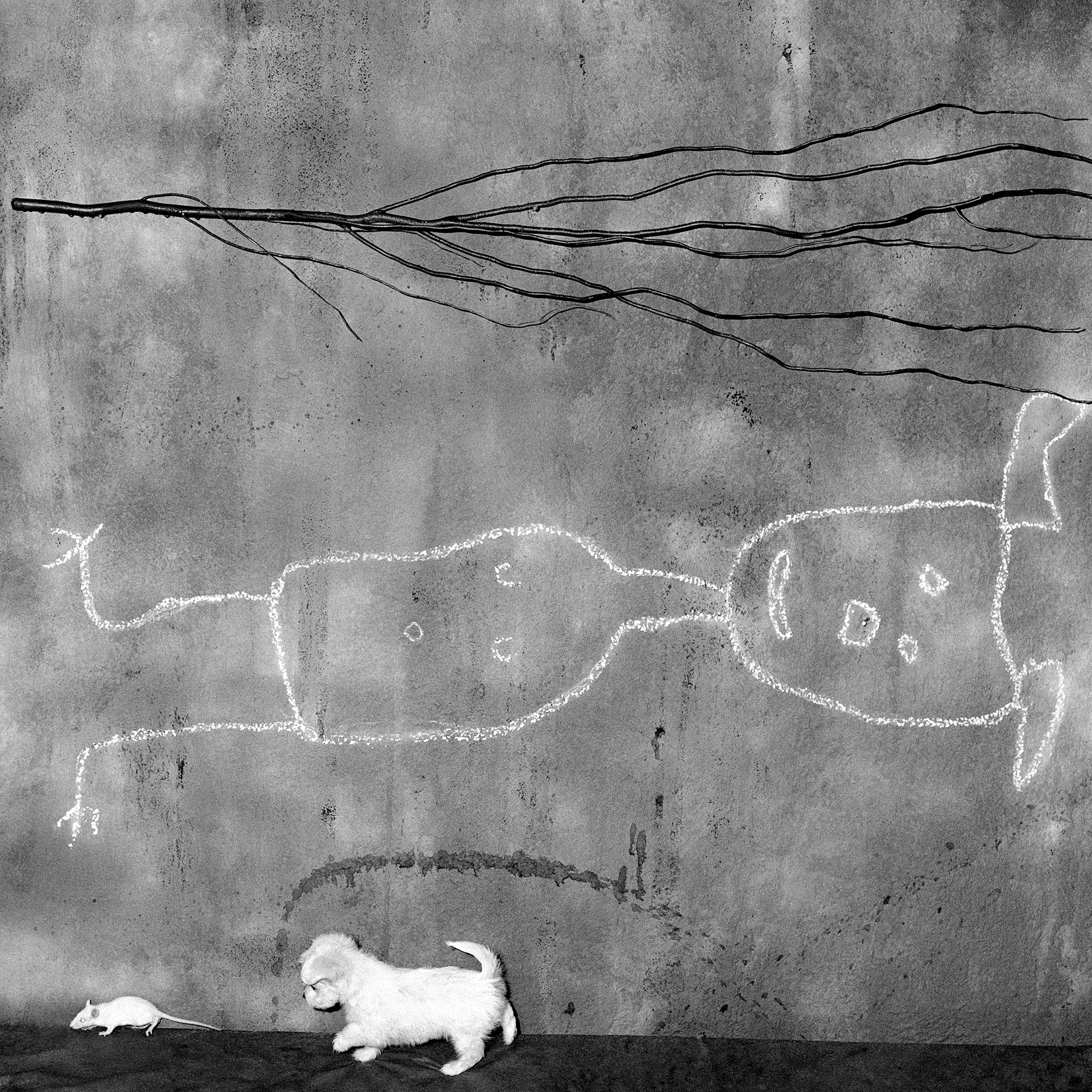 The Place of the Upside Down (2004), obra de Roger Ballen